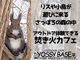 YOSSY BASE(���b�V�[�x�[�X)�̎ʐ^4