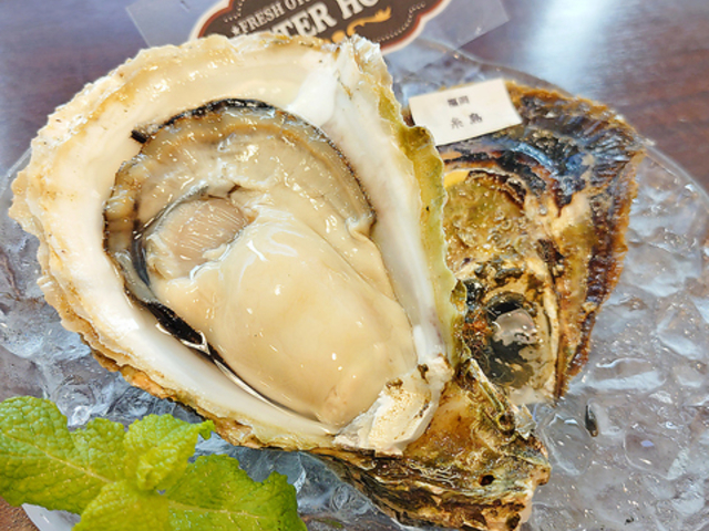 �I�C�X�^�[�n�E�X OYSTER HOUSE ����̎ʐ^1
