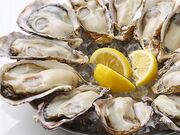 JCG ICX^[o[ JRVeBX̎ʐ^1