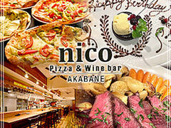 nico ԉHX̎ʐ^1