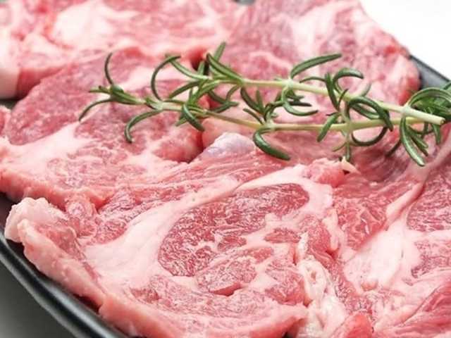 ~bVxC MissionBay ؎swO̎ʐ^1