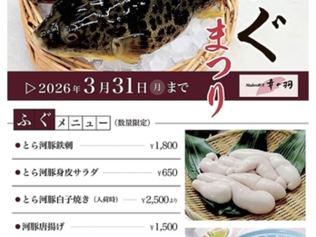 ���_�����B �K�̉H�̎ʐ^1