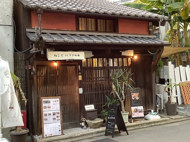 �˂��ƃo�i�i�̖؂̎ʐ^1