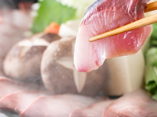 n{ƊCN ӂc ԍ{X̎ʐ^1