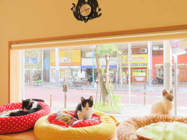 n^ی˂JtF ɂ̂͂̎ʐ^1