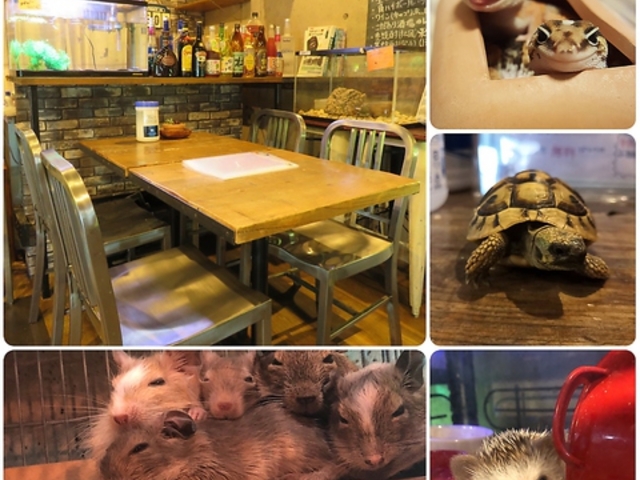 Aj} Cafe Bar ORIS JtFo[ IX̎ʐ^1