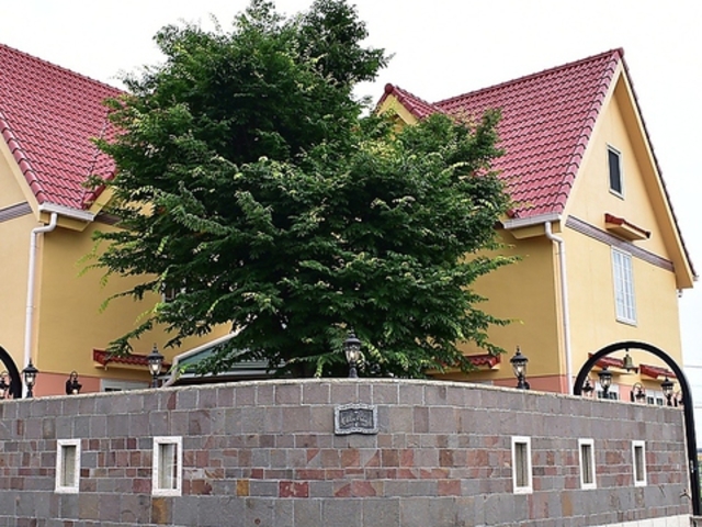 NyanCampanella�̎ʐ^1