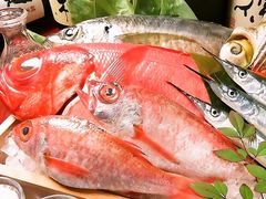 倉敷市の和食ランキングtop10 9ページ目 じゃらんnet