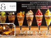 AhJtF &CAFE̎ʐ^1