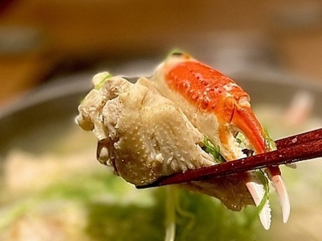 �Ƃ藿�� ���� �b����̎ʐ^1