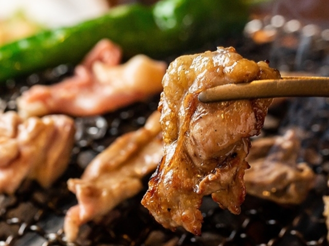 �n�{�ē� �꒹ �����X�̎ʐ^1