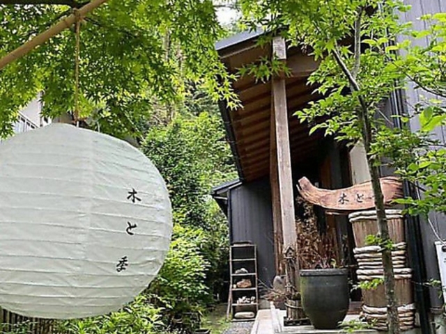 �I�[�K�j�b�N�J�t�F �؂ƋG�̎ʐ^1