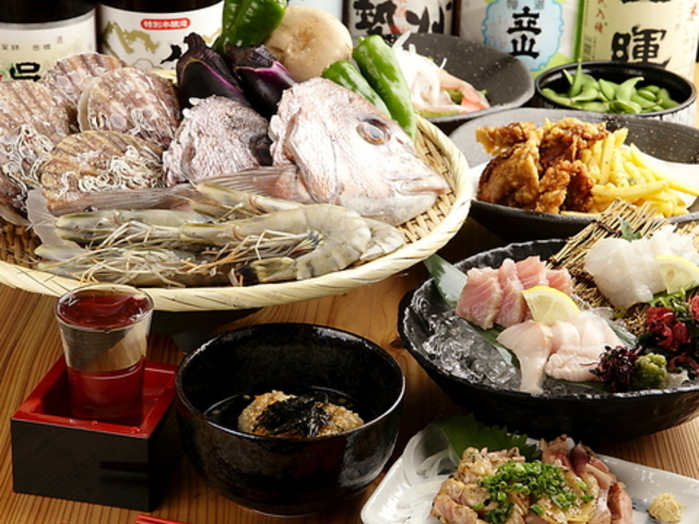 �F�[�� ����̑��̎ʐ^1