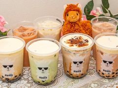 TEA ALPACA eB[ ApJ̎ʐ^1