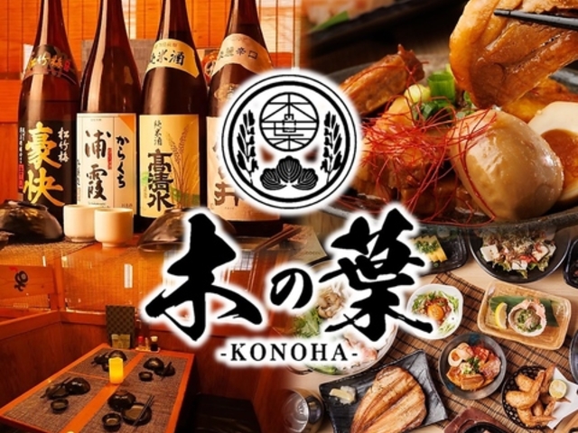 ؂̗t KONOHA twOX̎ʐ^1