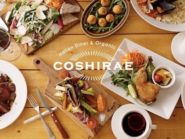 COSHIRAE �R�V���G�̎ʐ^1