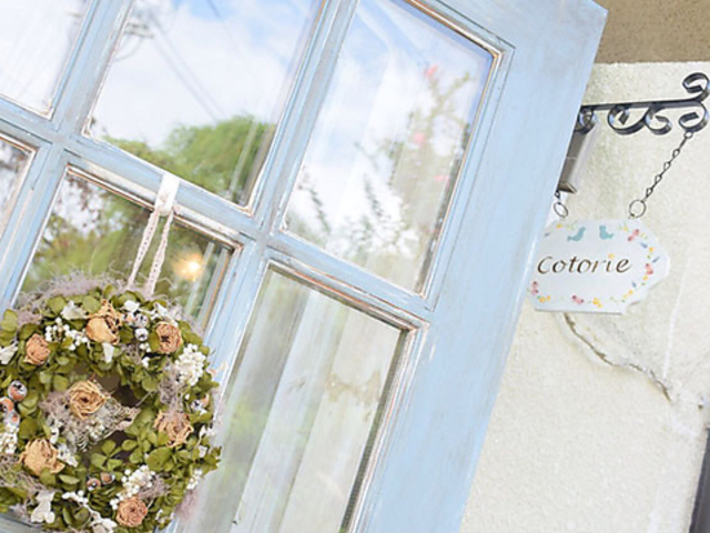 ÂG |JtF Cotorie RgG̎ʐ^1