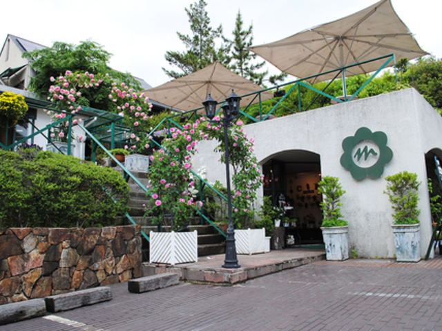 maison de fleurs ]ht[̎ʐ^1