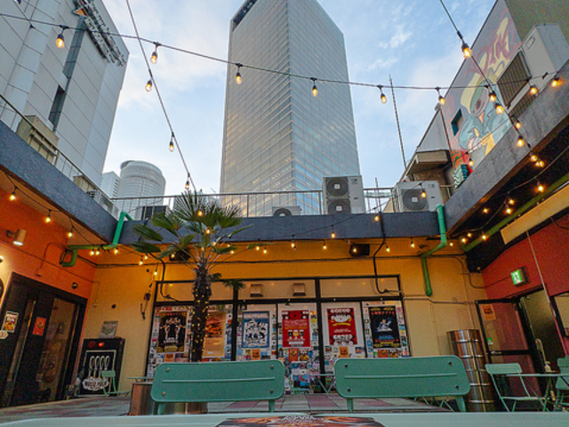 SHENANIGANS VFijKY̎ʐ^1