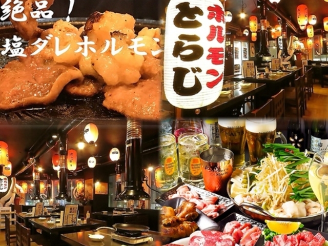 �z�������Ƃ炶 �L�y�X�X�̎ʐ^1