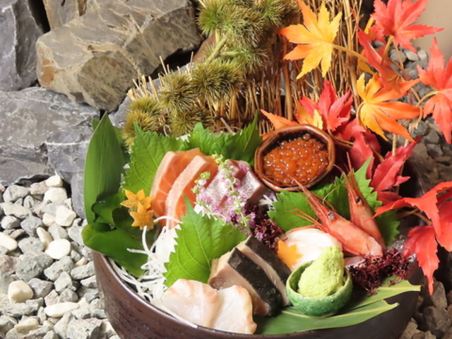 {؏{ƒn ǂ̂܂т̎ʐ^1