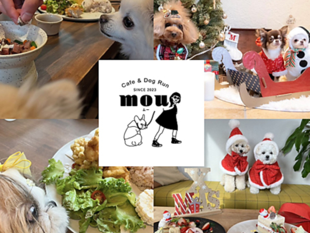 Cafe & Dog Run Mou ���ӂ�����ǂǂ������ �ށ[�̎ʐ^1