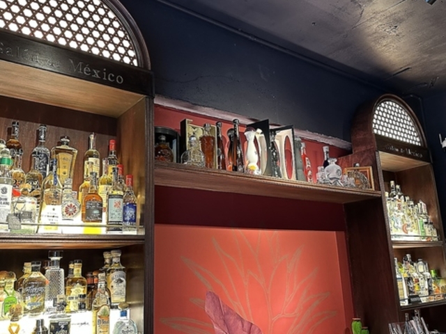 Salon de Mexico T h qR ̎ʐ^1