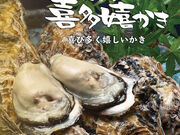 �C�l������ �� �C�l�߂��X�̎ʐ^1