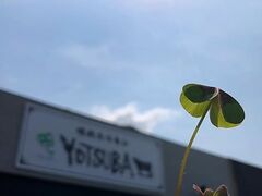 焼肉ホルモンYOTSUBA〜四つ葉〜の写真1