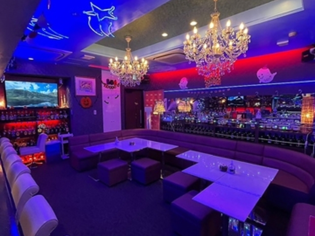 Blue Light u[Cg̎ʐ^1