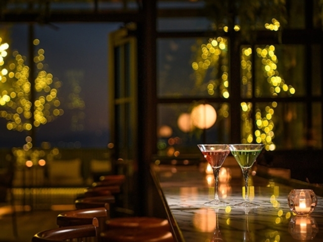 VFg o[ VIVARIUM̎ʐ^1