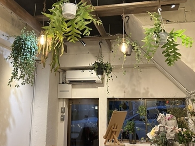 CHAM �`�����̎ʐ^1