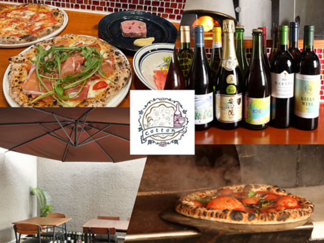 {CƓVRysbc@ Cotton̎ʐ^1