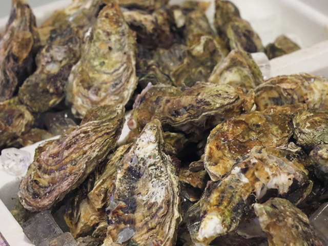 ���y���� �����������̎ʐ^1