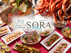 oCLOXg SORA \̎ʐ^1