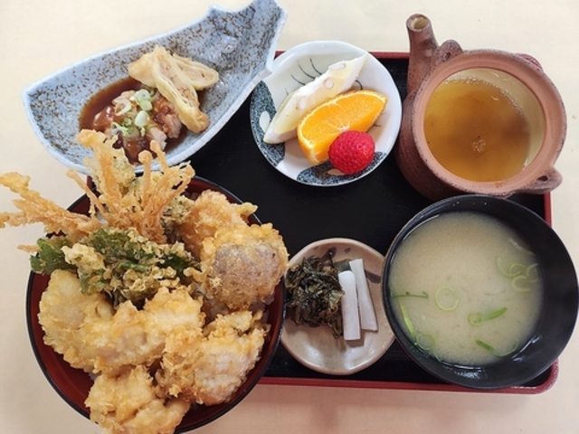 �F���_�{�m�̒��������܂��̎ʐ^1