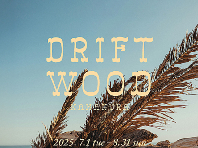 C̉ DRIFT WOOD q̎ʐ^1