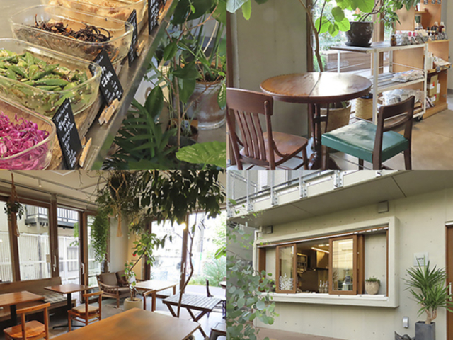 coret �R���g�̎ʐ^1