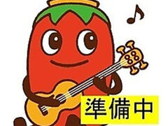 太陽のとんの写真1