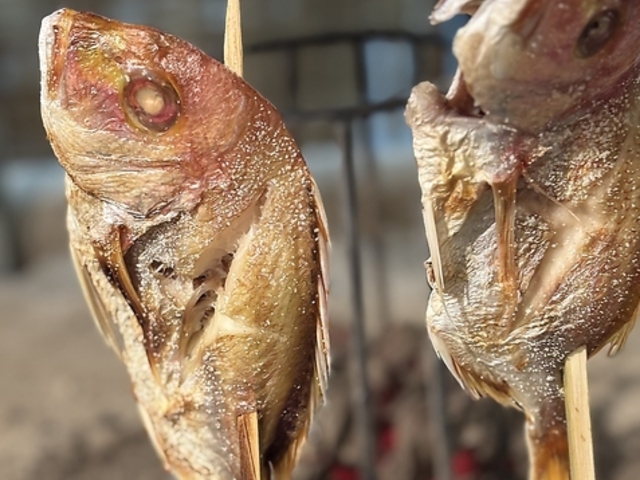 �C�N ��΂� ���n�� �V ����̎ʐ^1