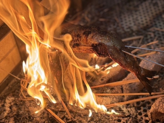 �C�N ��΂� ���n�� �V ����̎ʐ^1