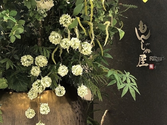 �����������񂶂ቮRikyu ���L���E �C�I�����[���y��X�̎ʐ^1