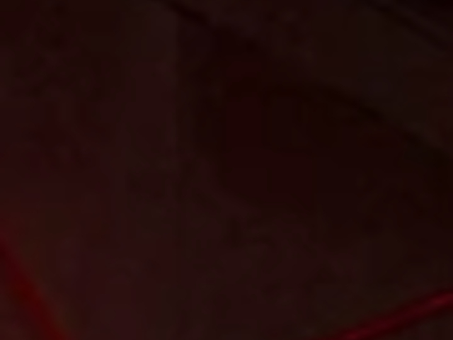 �z�������Ƃ��ɂ��̎ʐ^1