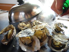 �C�N�≮ ��̎ʐ^1