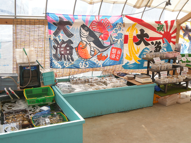 �L���� �̎ʐ^1