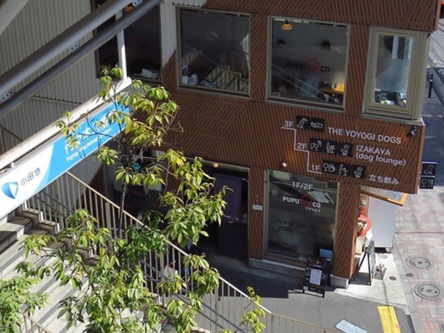 pupuMARUCO �v�v�}���R�̎ʐ^1