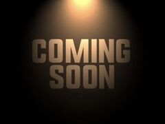 �X�p�C�XHUB�@�s���J�X�̎ʐ^1