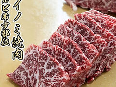 �C���g���{ ���Ɩ˂̎ʐ^1