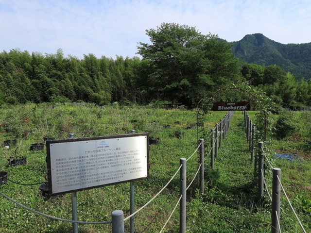 RECLO VILLAGE ���N�� �r���b�W�̎ʐ^1