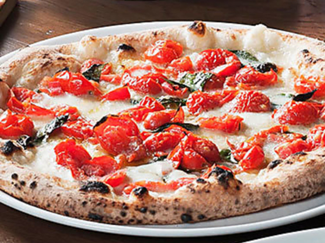 Tavernetta SALVATORE �^���F���l�b�^ �T�����@�g�[�� �V���l�̎ʐ^1